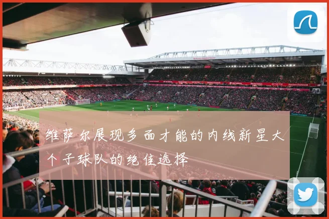 维萨尔展现多面才能的内线新星大个子球队的绝佳选择