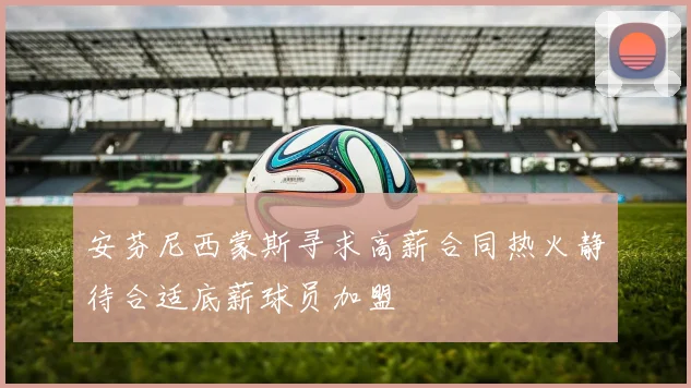 安芬尼西蒙斯寻求高薪合同热火静待合适底薪球员加盟